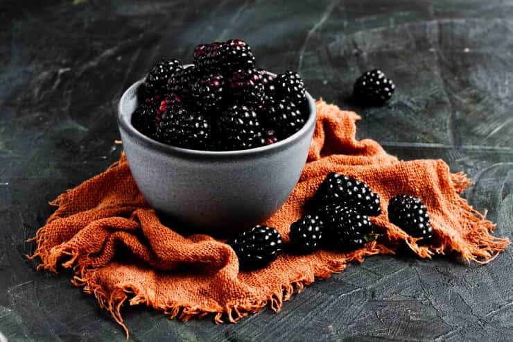 تصویر 4 از قیمت خرید تمشک خشک + فروش ویژه